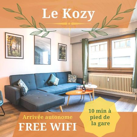 Le Kozy - Wifi - Centre Ville - Proche Commerces Sarrebourg Luaran gambar